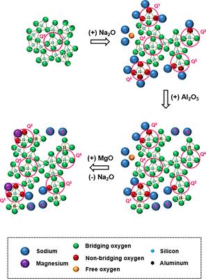 Field Strength of Network-Modifying Cation Dictates the Structure of (Na-Mg) Aluminosilicate Glasses